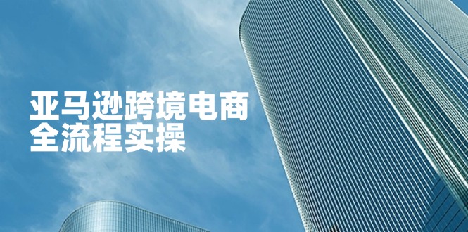 （14252期）亚马逊跨境电商全流程实操，教你从零开始，掌握店铺运营与广告技巧-轻创终点站